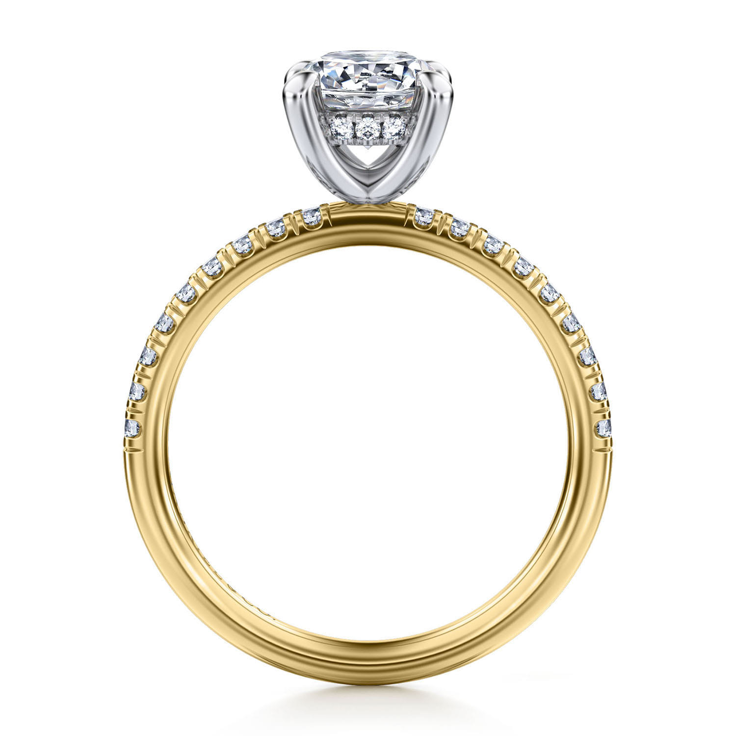 Stasia - 14K White-Yellow Gold Round Cut Diamond Engagement Ring - 0.25 ct - Shot 2