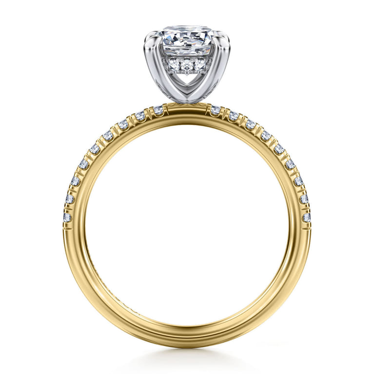 Stasia - 14K White-Yellow Gold Round Cut Diamond Engagement Ring - 0.25 ct - Shot 2