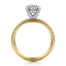 Stasia - 14K White-Yellow Gold Round Cut Diamond Engagement Ring - 0.25 ct