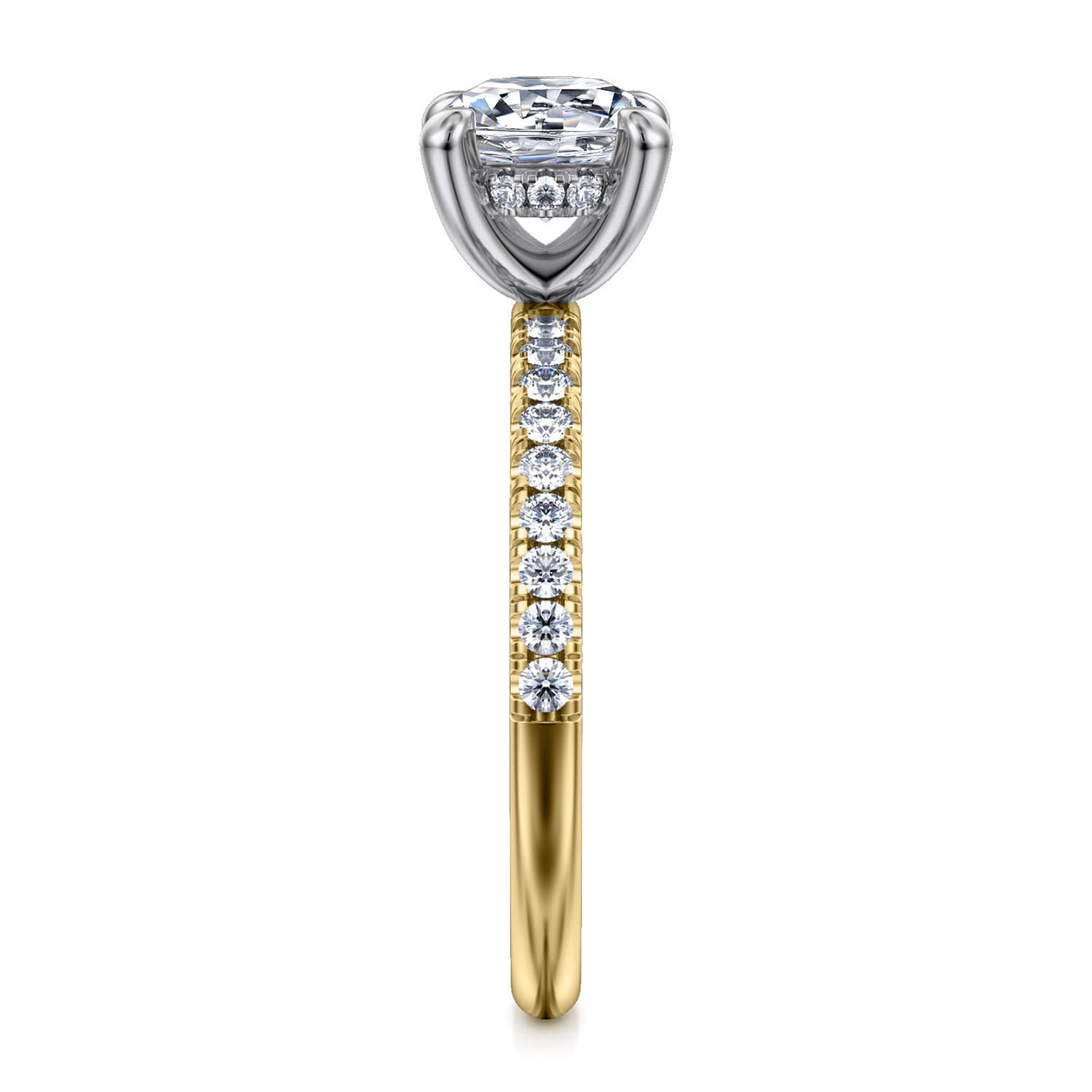 Stasia - 14K White-Yellow Gold Round Cut Diamond Engagement Ring - 0.25 ct - Shot 5