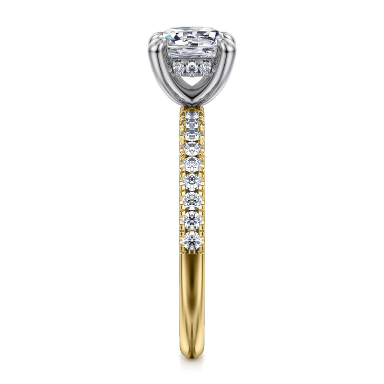 Stasia - 14K White-Yellow Gold Round Cut Diamond Engagement Ring - 0.25 ct - Shot 5