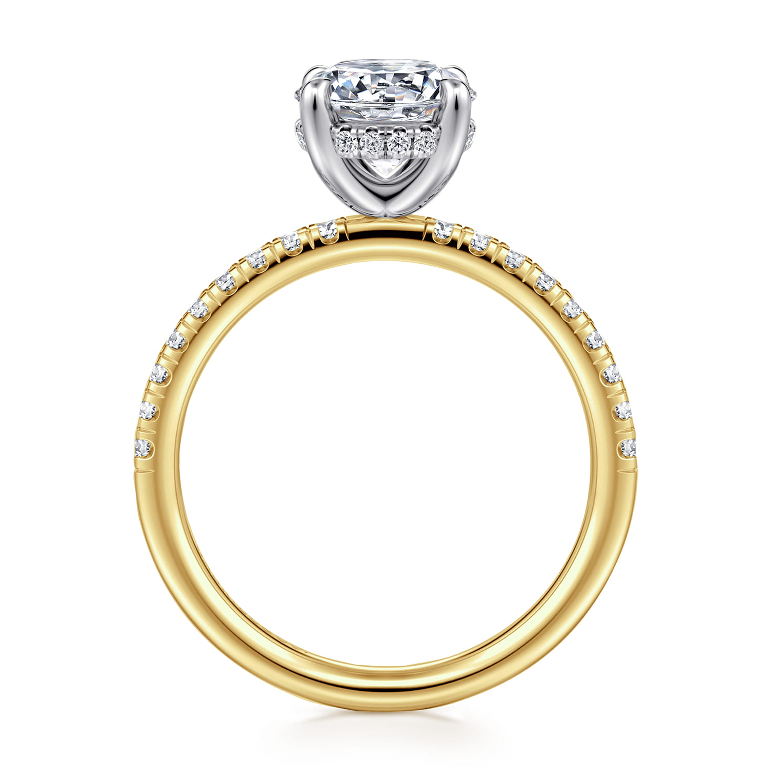 Stasia - 14K White-Yellow Gold Round Diamond Engagement Ring - 0.3 ct - Shot 2
