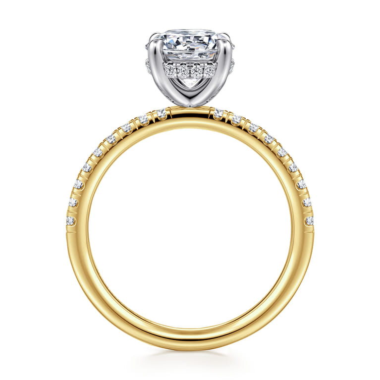 Stasia - 14K White-Yellow Gold Round Diamond Engagement Ring - 0.3 ct - Shot 2