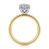Stasia - 14K White-Yellow Gold Round Diamond Engagement Ring - 0.3 ct
