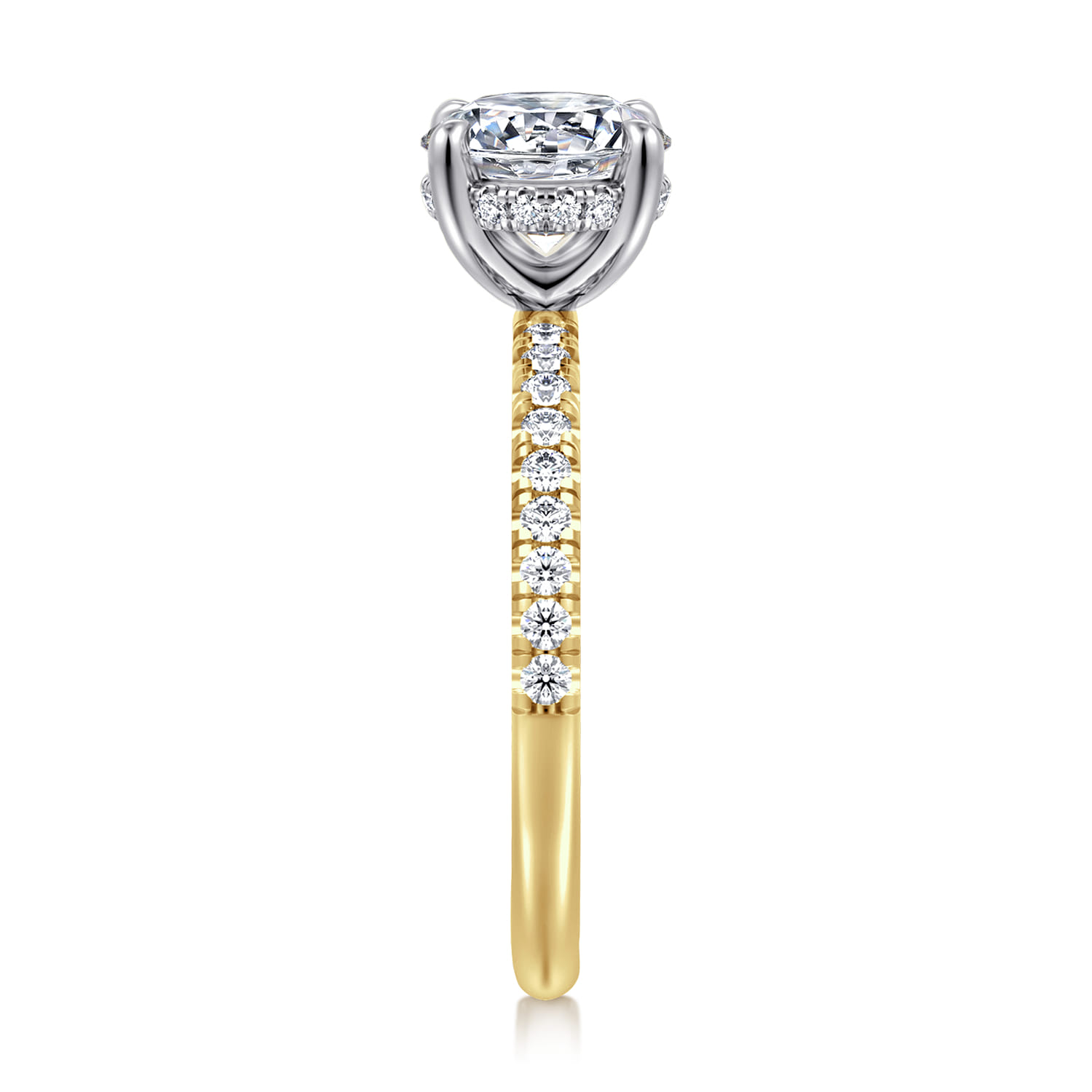 Stasia - 14K White-Yellow Gold Round Diamond Engagement Ring - 0.3 ct - Shot 4