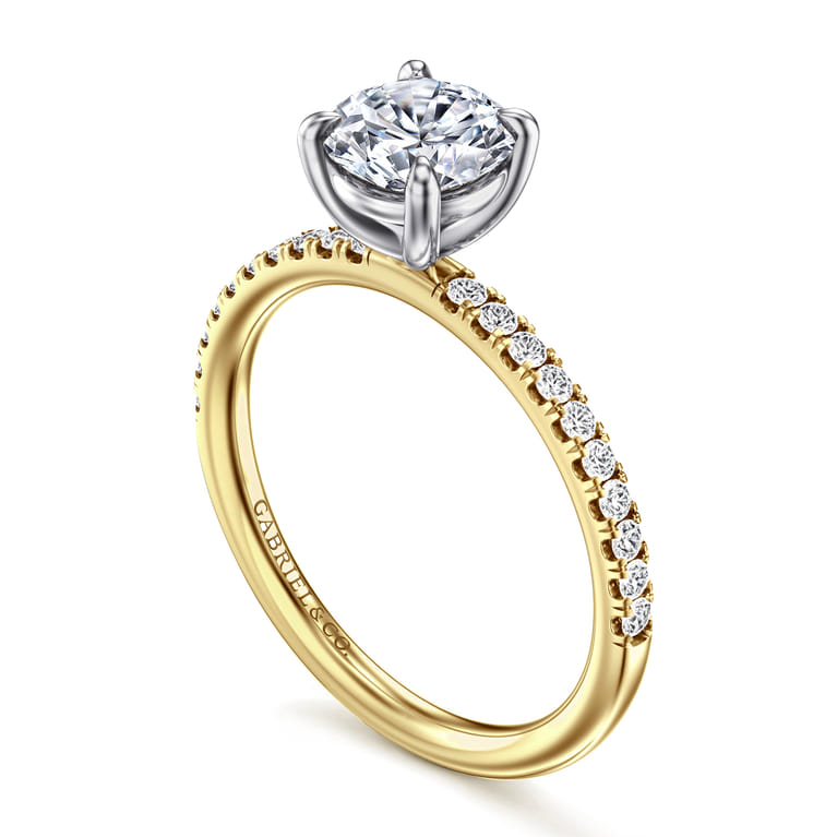 Twain - 14K Yellow-White Gold Round Diamond Engagement Ring - 0.2 ct - Shot 3