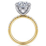 Winslow - 14K White-Yellow Gold Round Diamond Engagement Ring - 0.35 ct