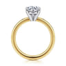 Cally - 14K White-Yellow Gold Round Diamond Engagement Ring - 0.12 ct