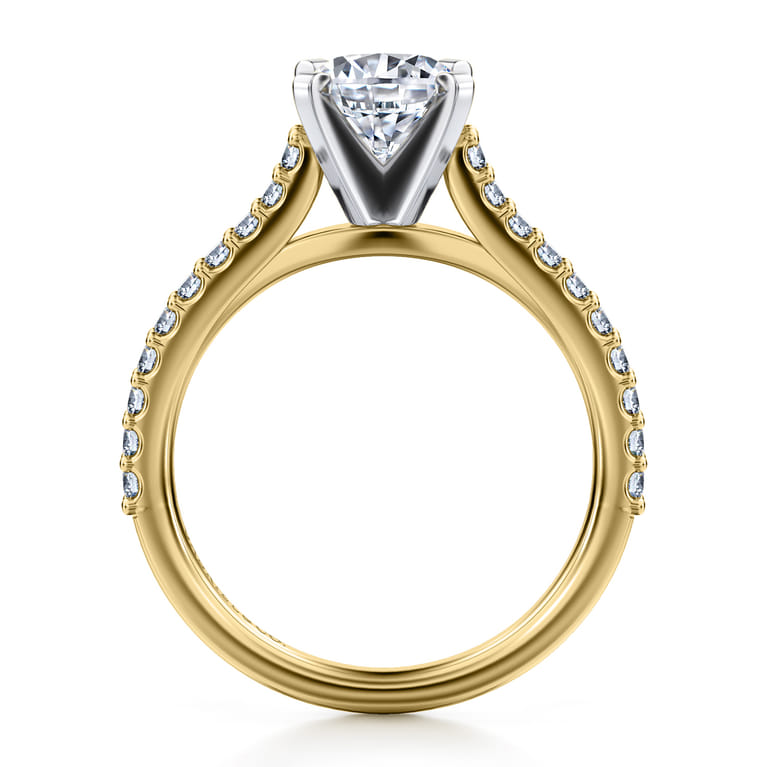 Shanna - 14K White-Yellow Gold Round Diamond Engagement Ring - 0.3 ct - Shot 2