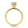 Twain - 18K Yellow Gold Emerald Cut Diamond Engagement Ring - 0.2 ct