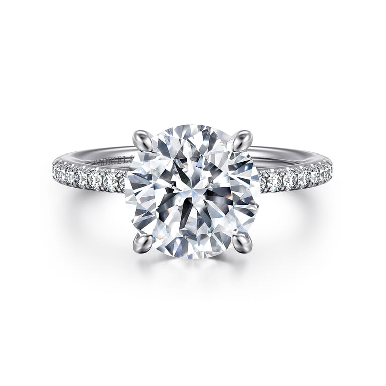 Broderick - Platinum Round Diamond Engagement Ring - 0.33 ct - Shot 1