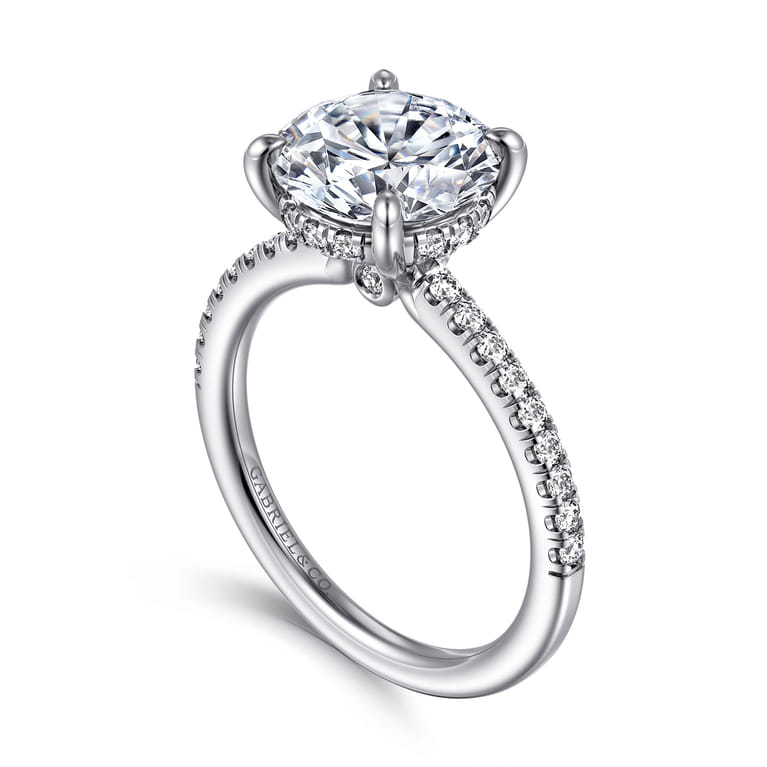 Broderick - Platinum Round Diamond Engagement Ring - 0.33 ct - Shot 3