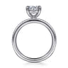 Amena - Platinum Round Diamond Engagement Ring - 0.14 ct
