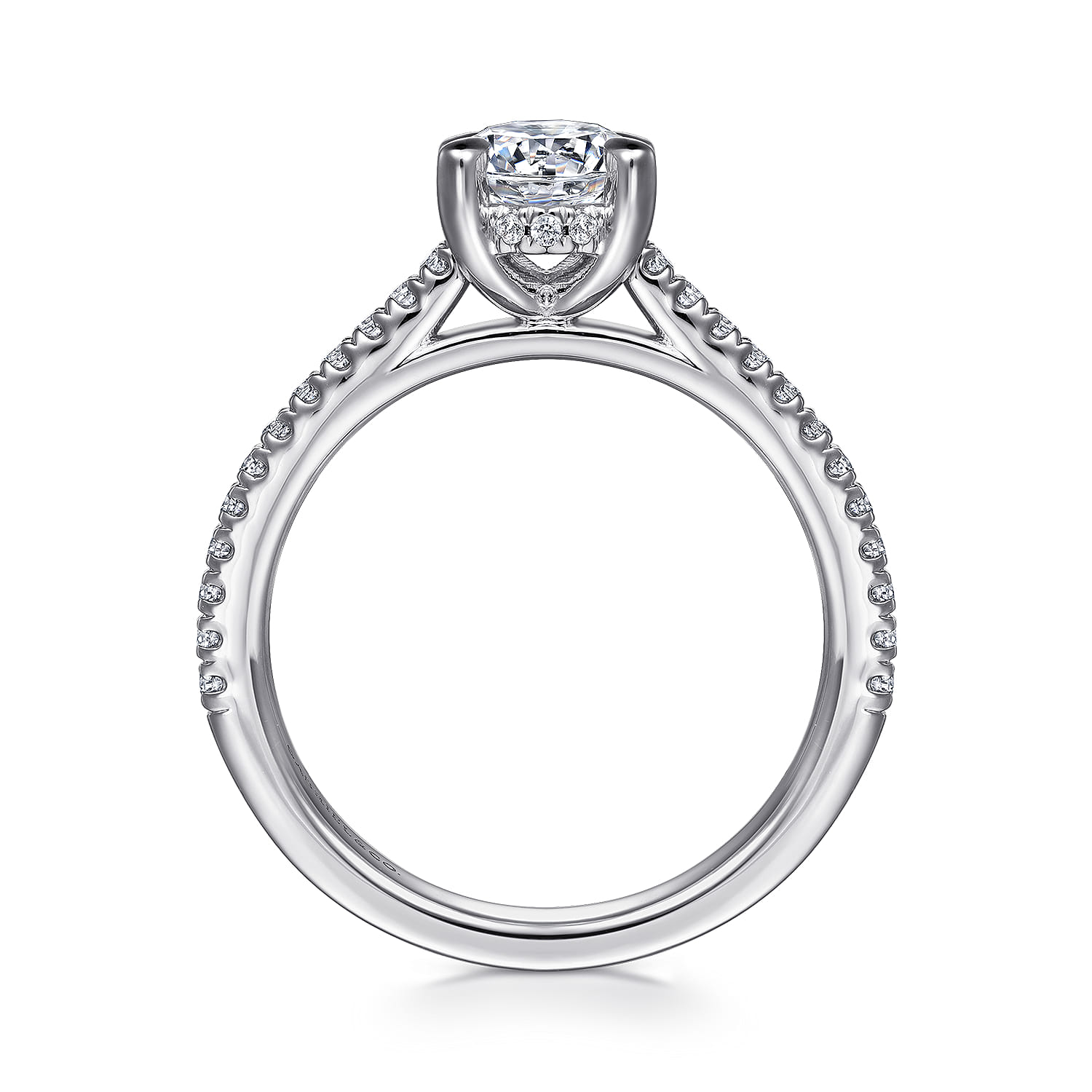 Aline - Platinum Round Diamond Engagement Ring - 0.25 ct - Shot 2