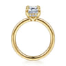 Austria - 14K Yellow Gold Hidden Halo Emerald Cut Diamond Engagement Ring