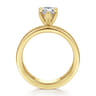 Sela - 14K Yellow Gold Pear Shape Diamond Engagement Ring - 0.07 ct