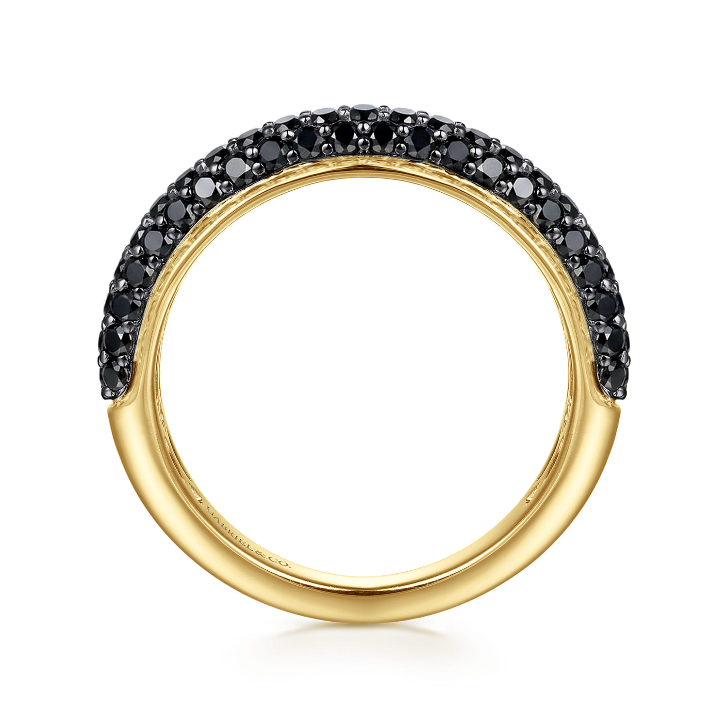 Pave Black Diamond Anniversary Band in 14K Yellow Gold, photograph 2