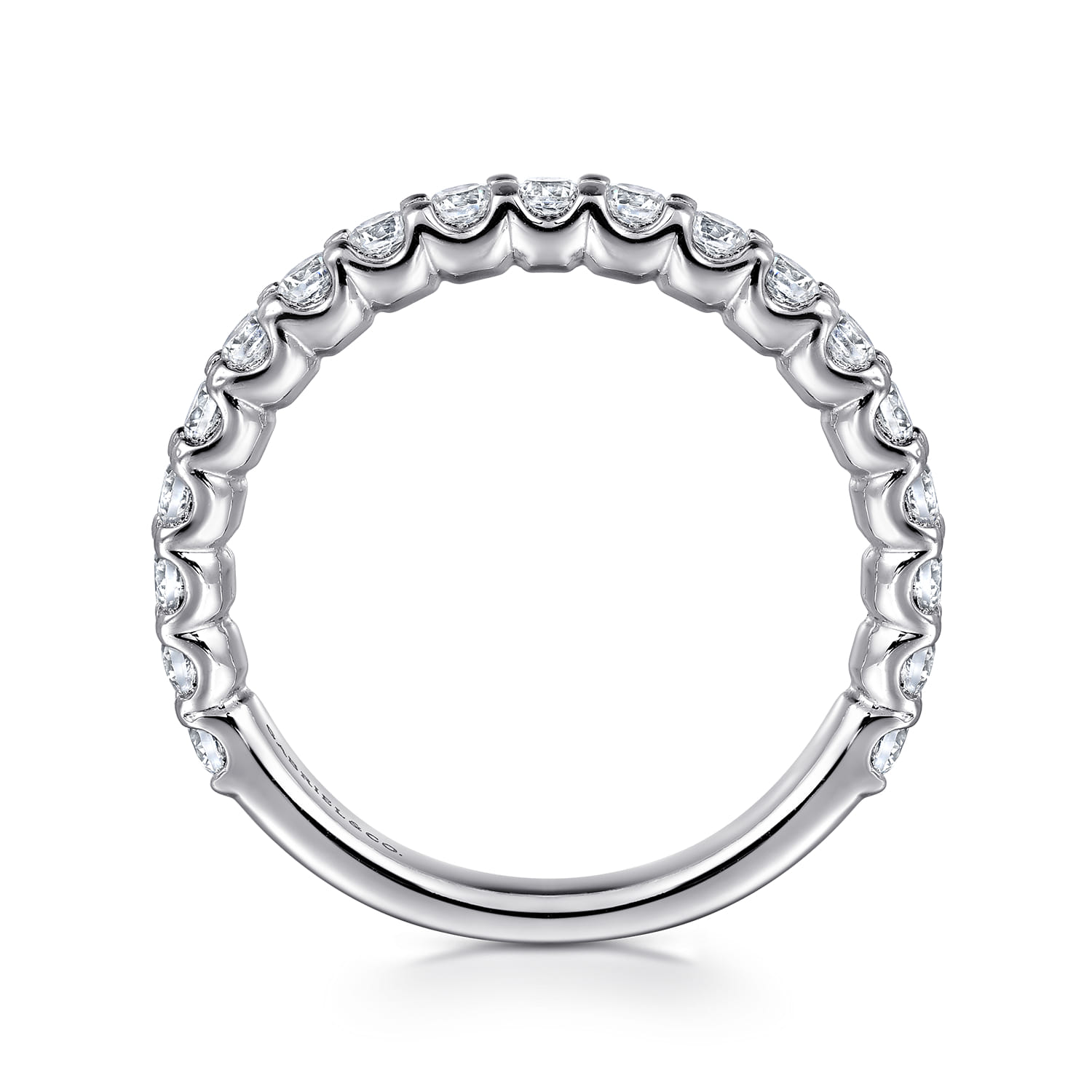 French Pave Diamond Wedding Band in 14K White Gold, photograph 2