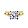 Quinn - 14K White-Yellow Gold Round Diamond Channel Set Engagement Ring