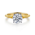 Ellis - 14K White-Yellow Gold Round Diamond Engagement Ring
