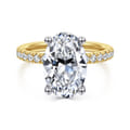 Amira - 14K White-Yellow Gold Oval Diamond Engagement Ring