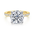 Amira - 14K White-Yellow Gold Round Diamond Engagement Ring