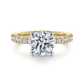 Amira - 14K White-Yellow Gold Hidden Halo Round Diamond Engagement Ring