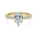 Alina - 14K Yellow Gold Hidden Halo Pear Shape Diamond Engagement Ring