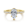 Alina - 14K Yellow Gold Hidden Halo Pear Shape Diamond Engagement Ring