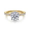 Alina - 14K White-Yellow Gold Hidden Halo Round Diamond Engagement Ring