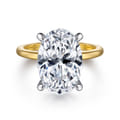 Ali - 14K White-Yellow Gold Oval Diamond Engagement Ring