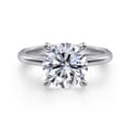 Ali - 14K White Gold Diamond Engagement Ring