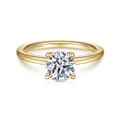 Ali - 14K Yellow Gold Round Diamond Engagement Ring