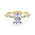Amata - 14K White and Yellow Gold Oval Diamond Engagement Ring
