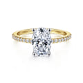 Amata - 14K White-Yellow Gold Oval Diamond Engagement Ring