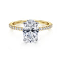 Amata - 14K White-Yellow Gold Oval Diamond Engagement Ring