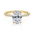 Amata - 14K Yellow Gold Diamond Engagement Ring with 14K Yellow Gold Head