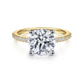 Amata - 14K White-Yellow Gold Round Diamond Engagement Ring