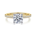 Amata - 14K White-Yellow Gold Round Diamond Engagement Ring