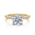 Amata - 14K White-Yellow Gold Round Diamond Engagement Ring