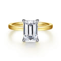 Paula - 14K White-Yellow Gold Emerald Cut Diamond Engagement Ring