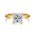 Paula - 14K Yellow Gold Princess Cut Diamond Engagement Ring