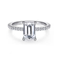 Broderick - Platinum Emerald Cut Diamond Engagement Ring