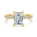 Broderick - 14K Yellow Gold Emerald Cut Diamond Engagement Ring