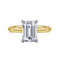 Lark - 14K White-Yellow Gold Emerald Cut Solitaire Engagement Ring