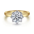 Liona - 14K White-Yellow Gold Round Solitaire Diamond Engagement Ring