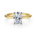 Evelina - 14K White-Yellow Gold Solitaire Diamond Engagement Ring