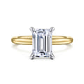 Cari - 14K White-Yellow Gold Hidden Halo Emerald Cut Diamond Engagement Ring