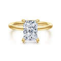 Cari - 14K Yellow Gold Radiant Cut Diamond Engagement Ring