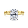 Cari - 14K White-Yellow Gold Hidden Halo Oval Diamond Engagement Ring